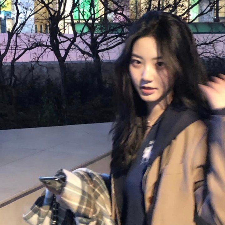环游地球八十天